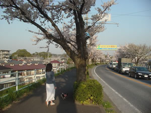 �����؂����X�Ƒ����Ă邻���ł�