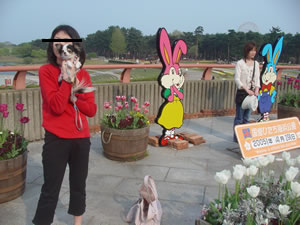 �L�����޸�؁I