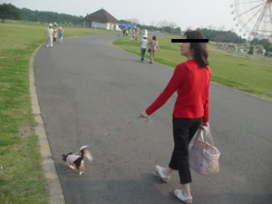 �������ɂ͊ϗ��Ԃ��݂��܂��B