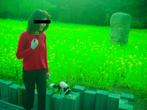 �؂̉Ԃ��炫����Ă܂����B