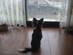 ���܂ł��A���܂ł��҂��Ă܂����c