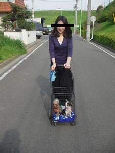 ��N�̂܂߁i�����߁j�B�J�[�Ƃł��������̓r��ɂāB����̓N���b�N�B