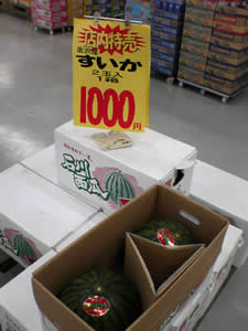 2��1000�~�͂��Ȃ�����̂ł́I