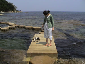 ��\��p�C�������B���߂��񂪂�΂��Ĕ�ѐ΂�����Ă܂����B