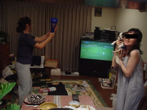 �Ƒ�������ĉ���