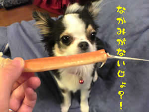 �J�j�H���Ă邱�̎ʐ^�����g�B�ðӏ�肭�`���Ă܂��B