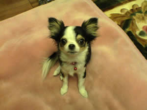 �uTKD���C�����Ȃ�`�v�ƌ����Ă�悤�ł�����E�E�E