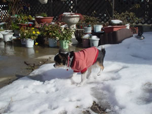 �₽���̂��܂�A��둫���オ�����܂܁A�ł܂��Ă��܂����B