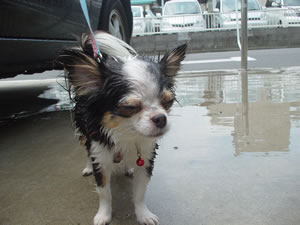 �҂����ķ��E�I