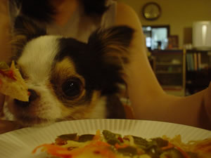 ���N���ݺ�p�s�U�𒸂��܂����B�����I����̓N���b�N�ɂāI