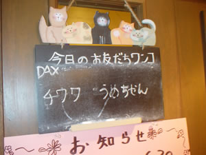 �y���V�������ւɂ͂��߂̃E�F���J���{�[�h���I