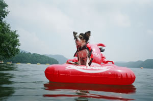 �ߌ�͐��j�B���߂�2�x�ڂȂ̂Ŋ��ꂽ���̂ł��B����̓N���b�N�ɂāI