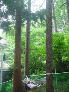 �ߑO���̓n�����b�N�Ń��������Ƃ��Ă܂����B