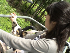 �R�X���X�p�[�N�̃S���h���ŎR���ցB