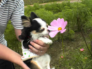 �R�X���X�͑��炫�̂��̂��`���z�����Ă邾���ł����B