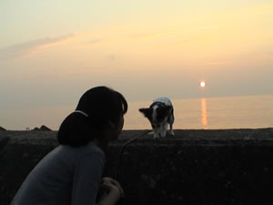 ���{�C�̗[�Ă��B�ڰ