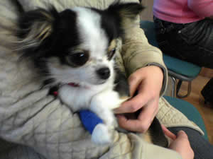 ����т����āA�ɁX�����E�E�E