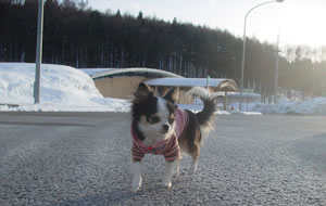 S.A.�ł̂��߁B������Ȃ����T�������E�E�E