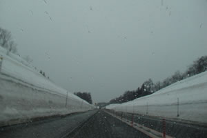 ��K�΂�����̕��J�̓n�Q���������E�E�E