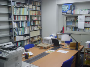 �ǂ��ɂ�����������x�ɂȂ����V���莺