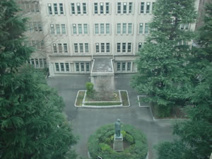 �^���ɂ͑�G������������