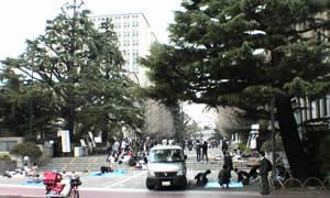 �u���[�V�[�g��K���e�Œ��X�Ə������i��ł����B