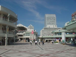 �痢�����w�B�ǂ��ƂȂ����_�����w�Ɏ��Ă���B