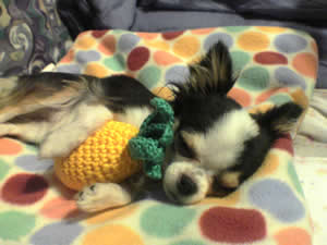 ���U������A��A�ʂ�����݂�����n�����E�E�E