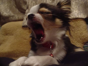 ���܂���Ȃ�Ă��߂ɂƂ�����ǂ��ł������悤�ł�