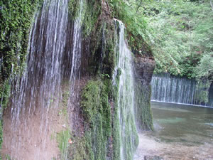 �����̑�ߌi