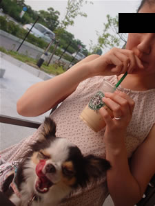 �[���ɂ͕F���܂�DEATH�������߂��}���ɗ��Ă��ꂽ�B�I�[�v�������ẴX�^�o�ŋx�e�B