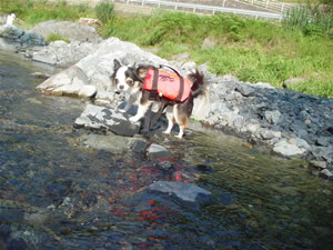 �����邨���鐅�ɐZ���邤��