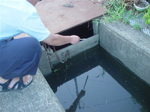 ���S�ɋA��A�}�W�ɂȂ��Ă܂��B