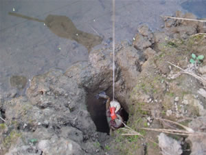 �L�^���`!!!