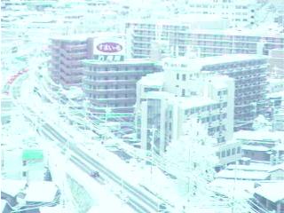 ���C�u�J�������猩���x�R�s�̃n�C�c�������ʂ̗l�q�B����A�c�u����ĂȂ��Ȃ��Ă�I�H