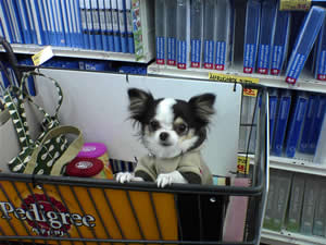 ���߂�����������`���Ă܂����B