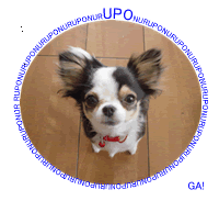 ���N�����I�I�I