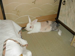 �݂肵���̂Ă����B�����������F�肷���E�E�E