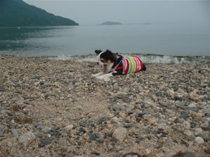 �}�L�m�E�T�j�[�r�[�`�ɂāB�����т��o�邭�炢�����b�N�X���Ă��܂��B