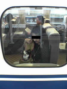 ����Ȃ炤�߂���A�܂�����܂ŁE�E�E