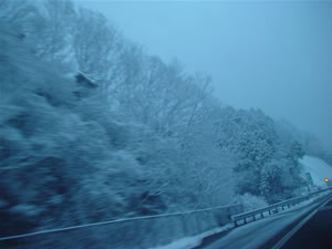 �Č�������B���o���I