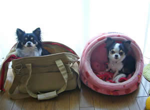 ���̂��낤�߂͂��F�B�̂������ł�����B