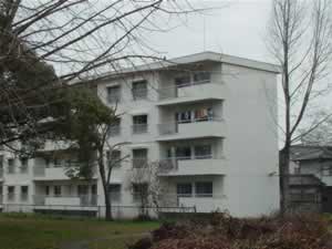 ���ɑS�i�B�ʖ��z���C�g�n�E�X