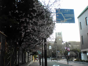 ���炫�̍�������e���ʂ��Ă܂����B