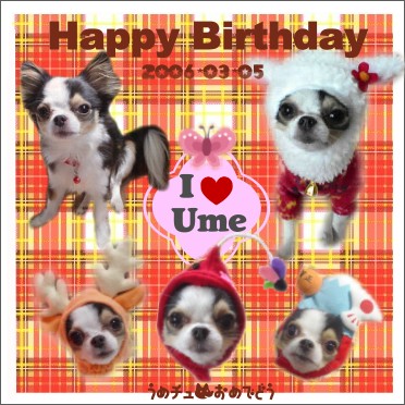 �`�����F�B�����߂̂��߂ɍ���Ă��ꂽ�J�[�h�B���ӁA���ӁI