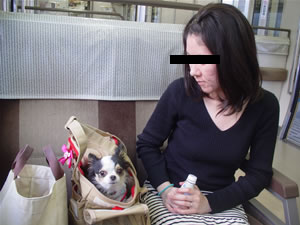 GW�����Ƃ������Ƃ�����A�V�����E���[�J���Ƃ��K���K���ł����B