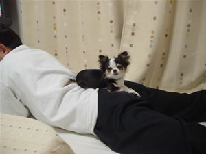 �R��̔w�����z�[���|�W�V�����I�H