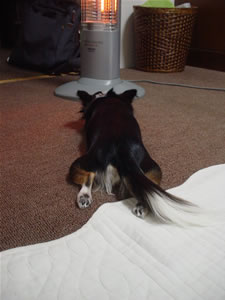 �q�}���`�Ƀq�[�^�[�̑O�ł��낢�ł܂��B