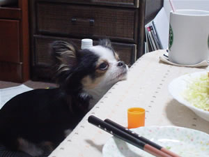 �[�т̃`�F�b�N�ɗ]�O������܂���B