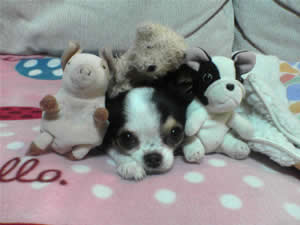 ���Ƃ������Ɉ͂܂�K���i���f�I�H�j�����ł�